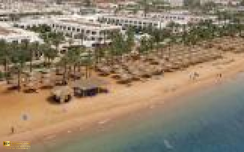 Iberotel Palace