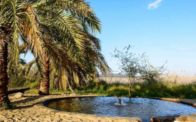 السياحة العلاجية فى سيوة