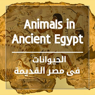 حديقة الحيوان "إحو"