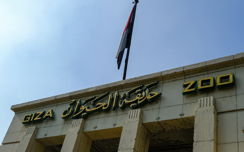 حديقة الحيوان بالجيزة فى ثـوب جديــد تجربة استثنائية تعزز من مكانة مصر على خارطة السياحة العالمية
