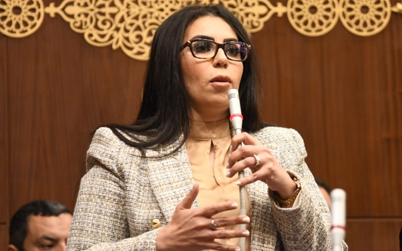 نائبة التنسيقية سها سعيد تطالب بالترخيص للشركات الناشئة فى مجال السياحة