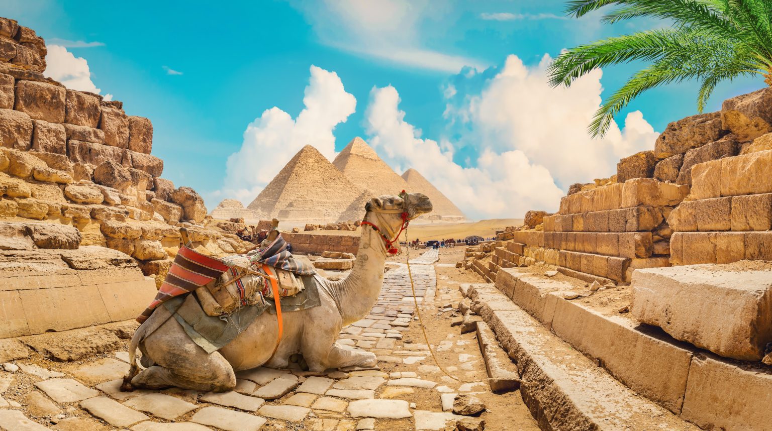 خبير السياحة نتوقع تحقيق نمو كبير بالقطاع السياحي في مصر الفترة المقبلة