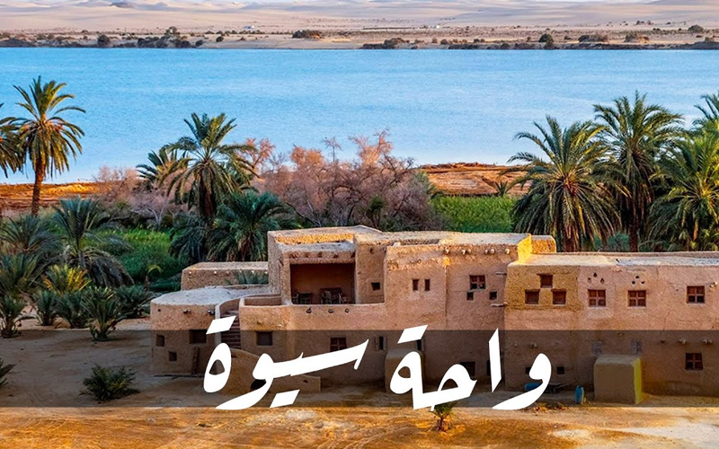 السياحة العلاجية بواحة سيوة تبدأ منتصف يونيو