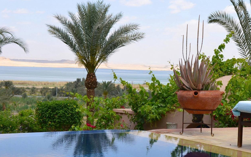 وفد حزب الوعى يزور قرية تونس بمحافظة الفيوم لدعم السياحة الداخلية